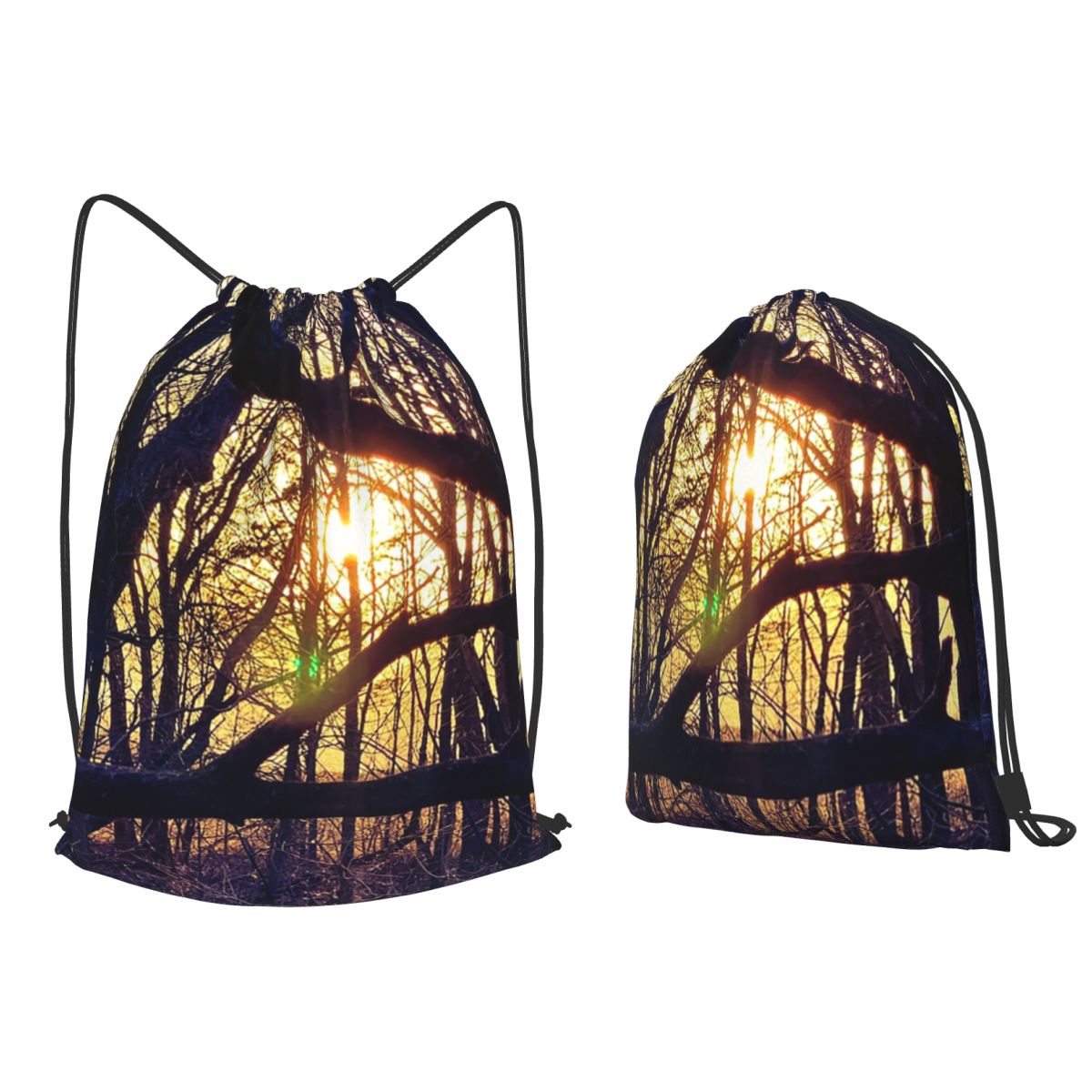 Forest Light At Sunset Nature  - Lighting In Photography Book recension och pris